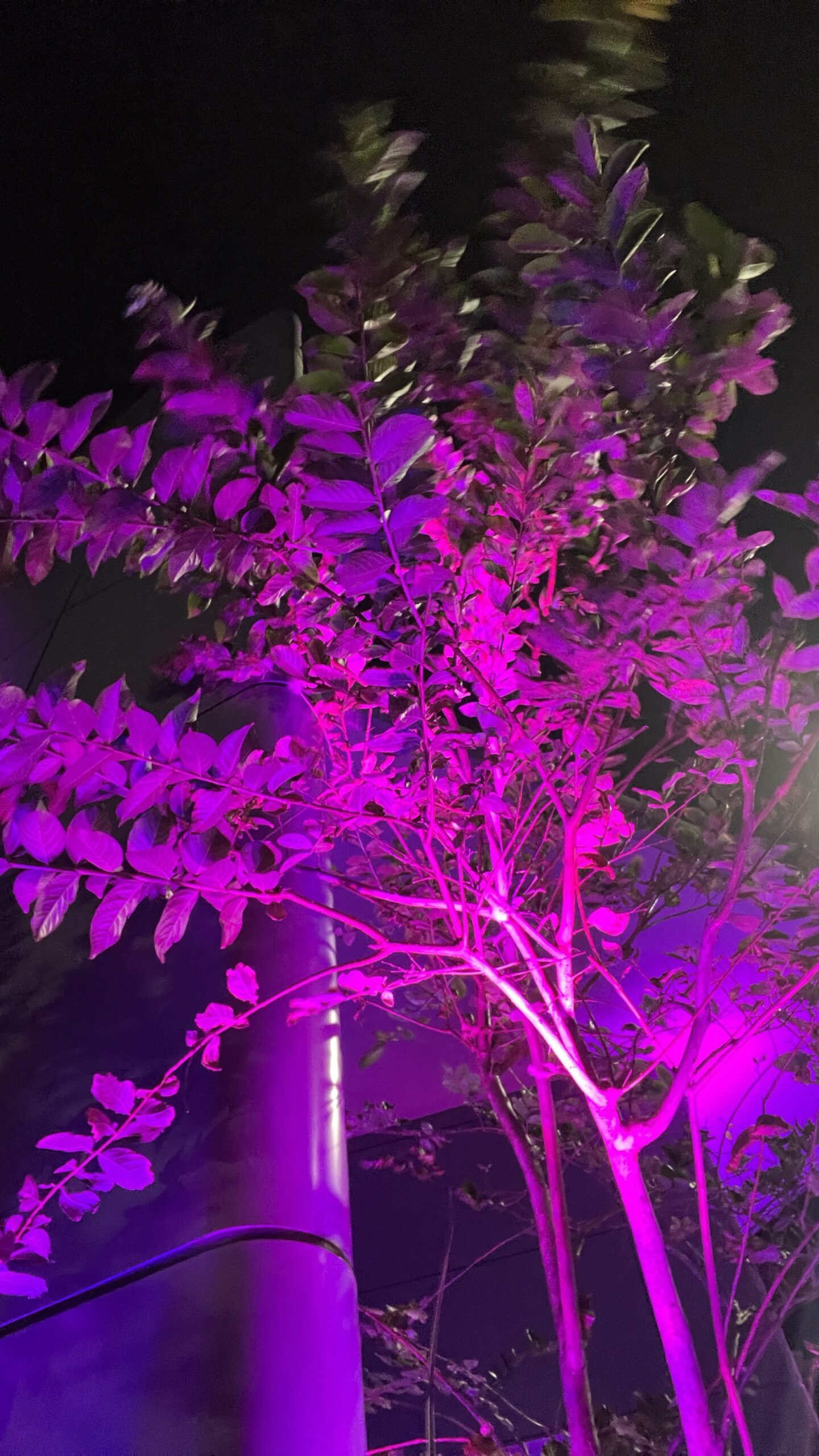 City Beach Wollongong NSW - Mandy emaill 7