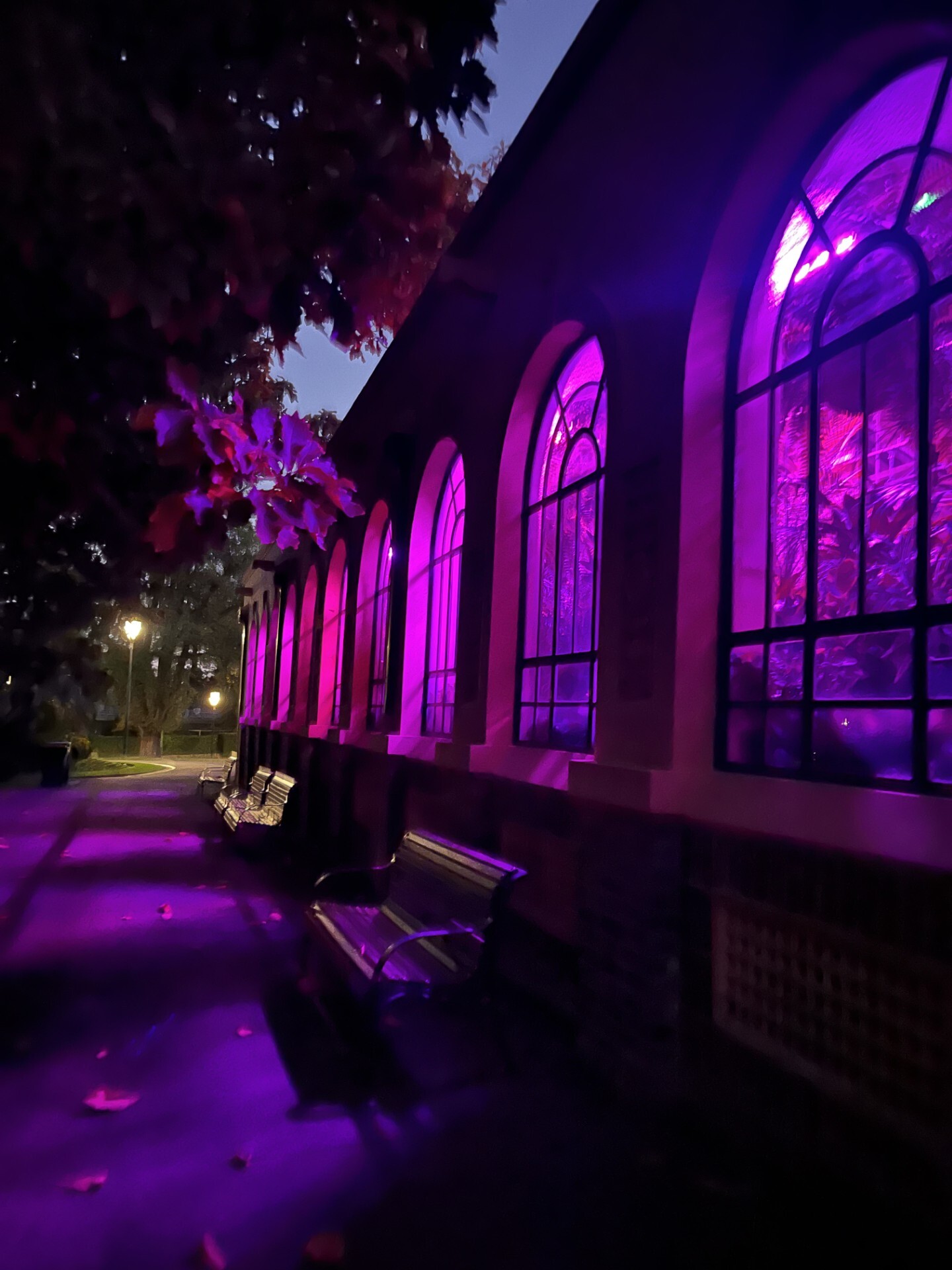 Consevatory VIC Alice email 2